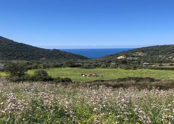 T2 Neuf Avec Terrasse Panoramique De 40m2 - Vue Exceptionnelle Appartement *