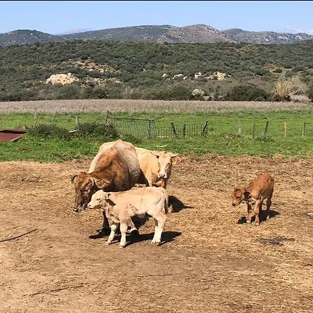 T2 Neuf Avec Terrasse Panoramique De 40m2 - Vue Exceptionnelle * Villanova
