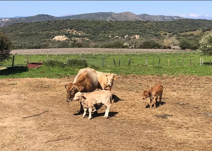 T2 Neuf Avec Terrasse Panoramique De 40m2 - Vue Exceptionnelle * Villanova