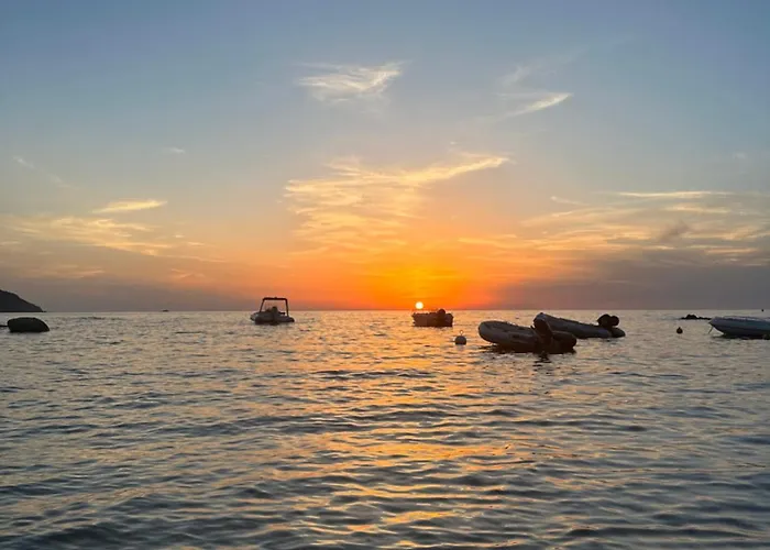 T2 Neuf Avec Terrasse Panoramique De 40m2 - Vue Exceptionnelle